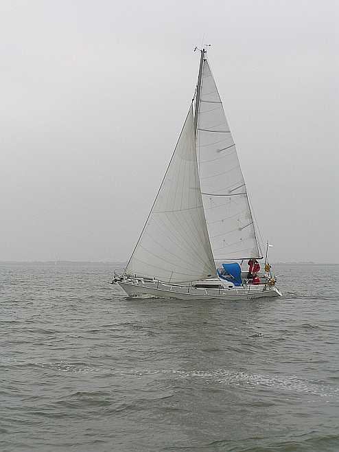 Je zou zeggen waaiboer ?